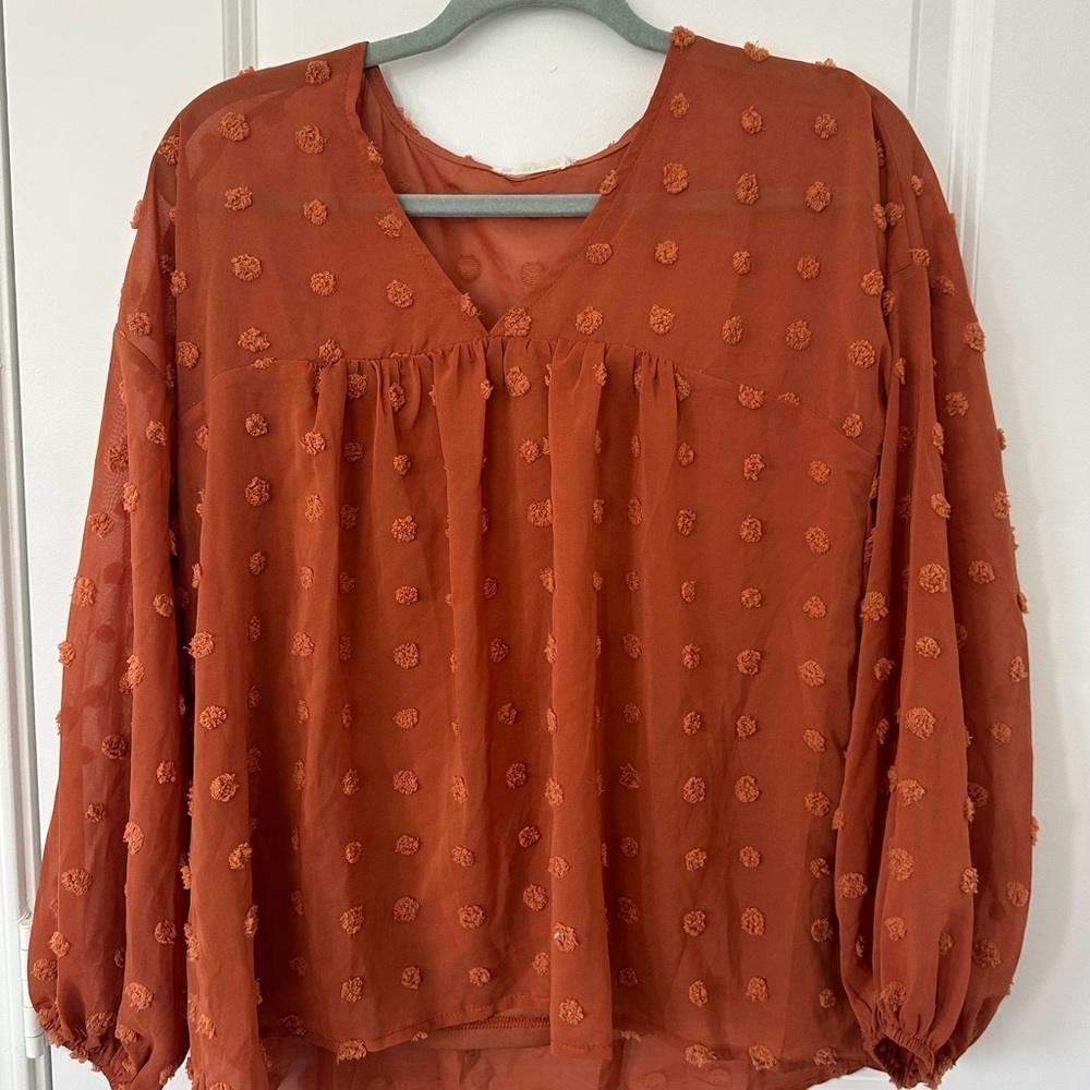 And the why Rust Orange Swiss Dot Long Sleeve  Blouse
